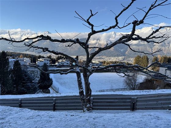 Un arbre nu se dresse devant un paysage enneigé. À l'arrière-plan, des montagnes et un ciel dégagé sont visibles.
