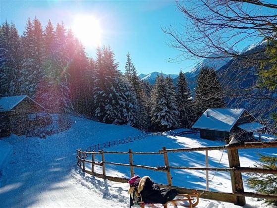 Een winterse bosweg met met sneeuw bedekte bomen en bergen op de achtergrond. De zon straalt over het besneeuwde landschap.