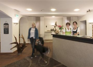 Eine freundliche Rezeption mit zwei Damen und einer ankommenden Person. Im Hintergrund ist ein Hund zu sehen.