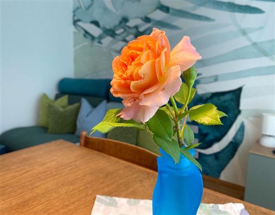 Een mooie oranje roos in een blauwe vaas staat op een houten tafel. Op de achtergrond zijn gekleurde kussens en een decoratieve wanddecoratie te zien.
