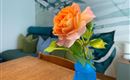 Een mooie oranje roos in een blauwe vaas staat op een houten tafel. Op de achtergrond zijn gekleurde kussens en een decoratieve wanddecoratie te zien.