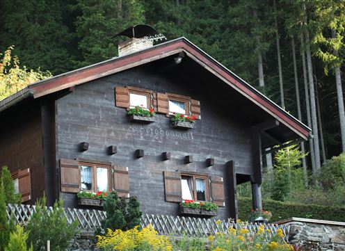 A cozy wooden house with flower boxes at the windows. Surrounded by green trees and beautiful scenery.