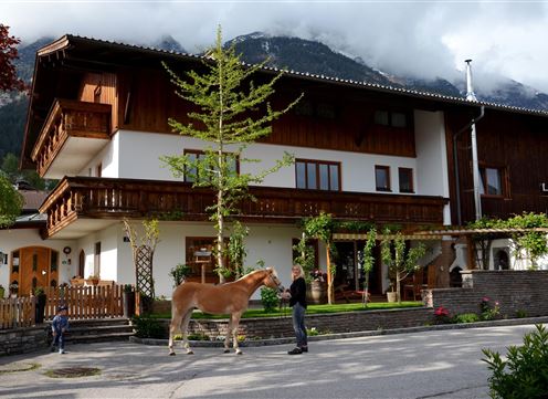 Ein traditionelles Haus mit Balkon und einem Pferd auf der Straße. Im Hintergrund sind Berge und eine bewölkte Himmel zu sehen.
