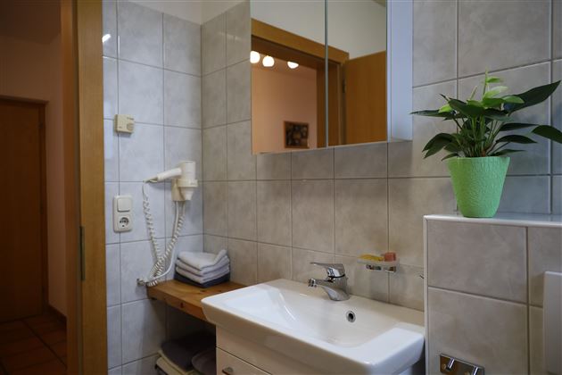 Ein modernes Badezimmer mit einem Waschbecken, einem Spiegel und einer schönen Pflanze. Die Wände sind fliesenverkleidet und es gibt Holzregale.