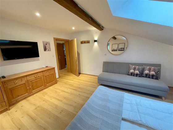 Une chambre moderne avec un parquet et un décor lumineux. Il y a un canapé confortable, une télévision et un grand miroir sur le mur.