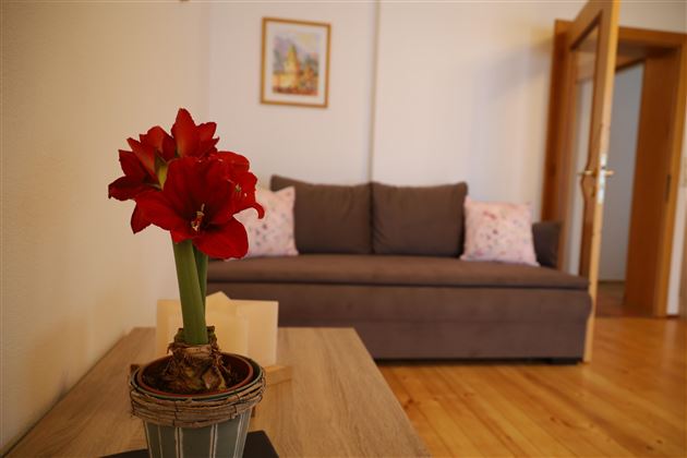 Eine schöne Zimmerpflanze mit roten Blüten steht auf einem Tisch. Im Hintergrund sieht man ein gemütliches Sofa und einen Holzfußboden.