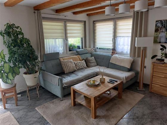 Ein gemütliches Wohnzimmer mit einem grauen Sofa und einem Holztisch. Große Fenster lassen viel Tageslicht herein, und es gibt einige Pflanzen zur Dekoration.