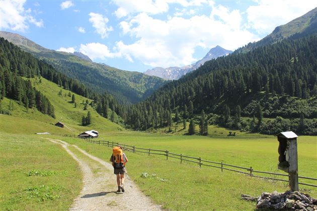 Almwanderung Außermelang-Alm