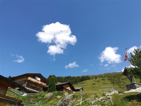 Almwanderung Außermelang-Alm