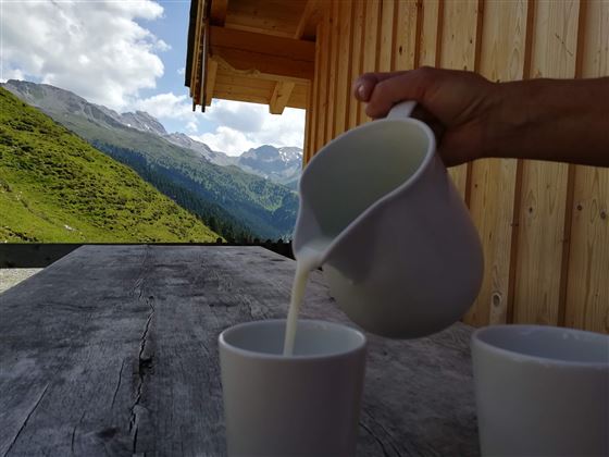 Almwanderung Außermelang-Alm