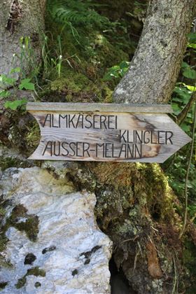 Almwanderung Außermelang-Alm