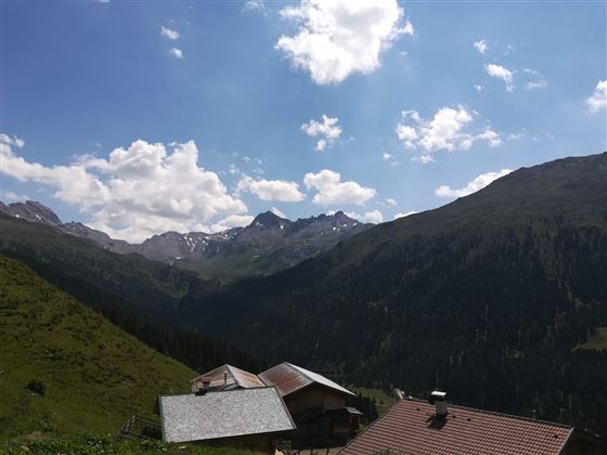 Almwanderung Außermelang-Alm