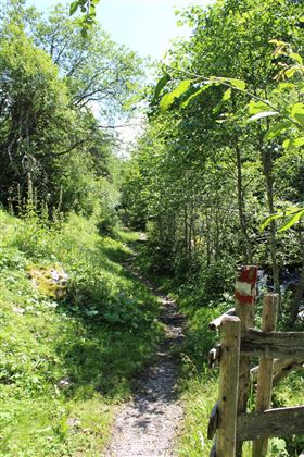 Almwanderung Außermelang-Alm