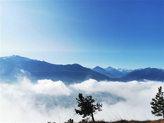 Auf den aussichtsreichen Hochmahdkopf