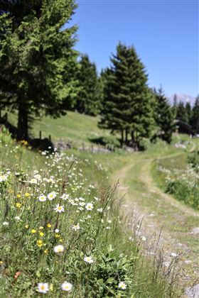 Etappe 2 von Wattens nach Tulfes