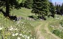 Etappe 2 von Wattens nach Tulfes