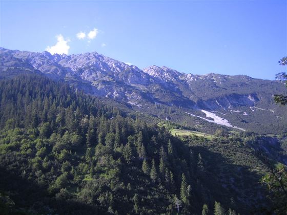 Blick auf die Lattenspitze und Thaurer Alm