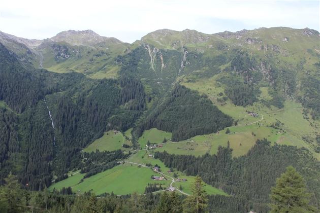 Blick in die grünen Tuxer Alpen