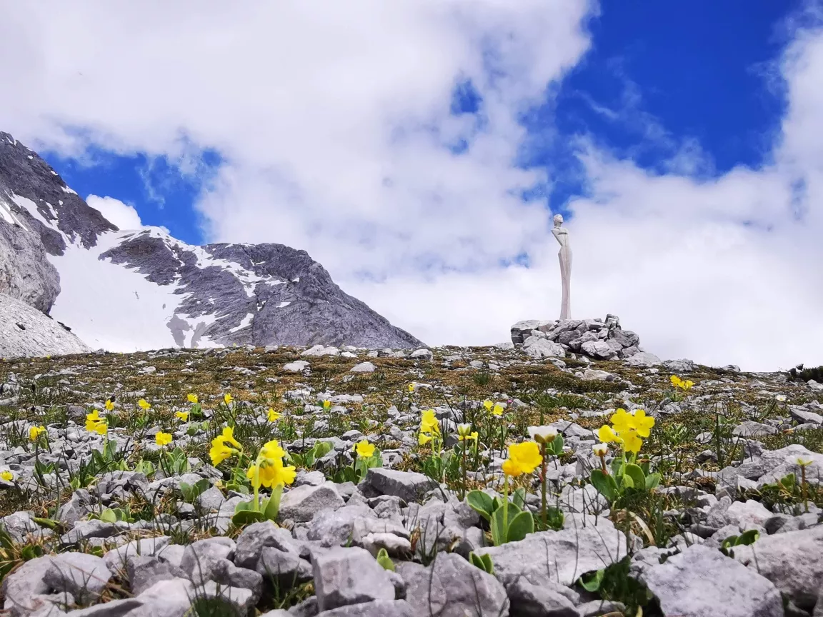 Durch das Halltal auf das Lafatscherjoch