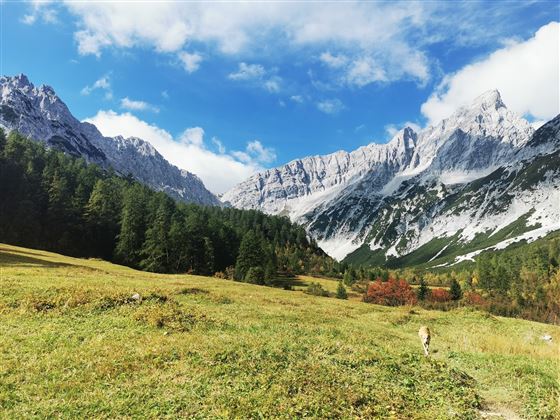 Durch das Halltal zum Kleinod Issanger