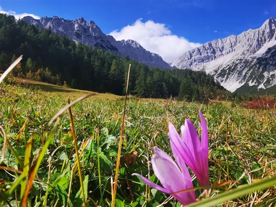 Durch das Halltal zum Kleinod Issanger