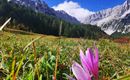 Durch das Halltal zum Kleinod Issanger
