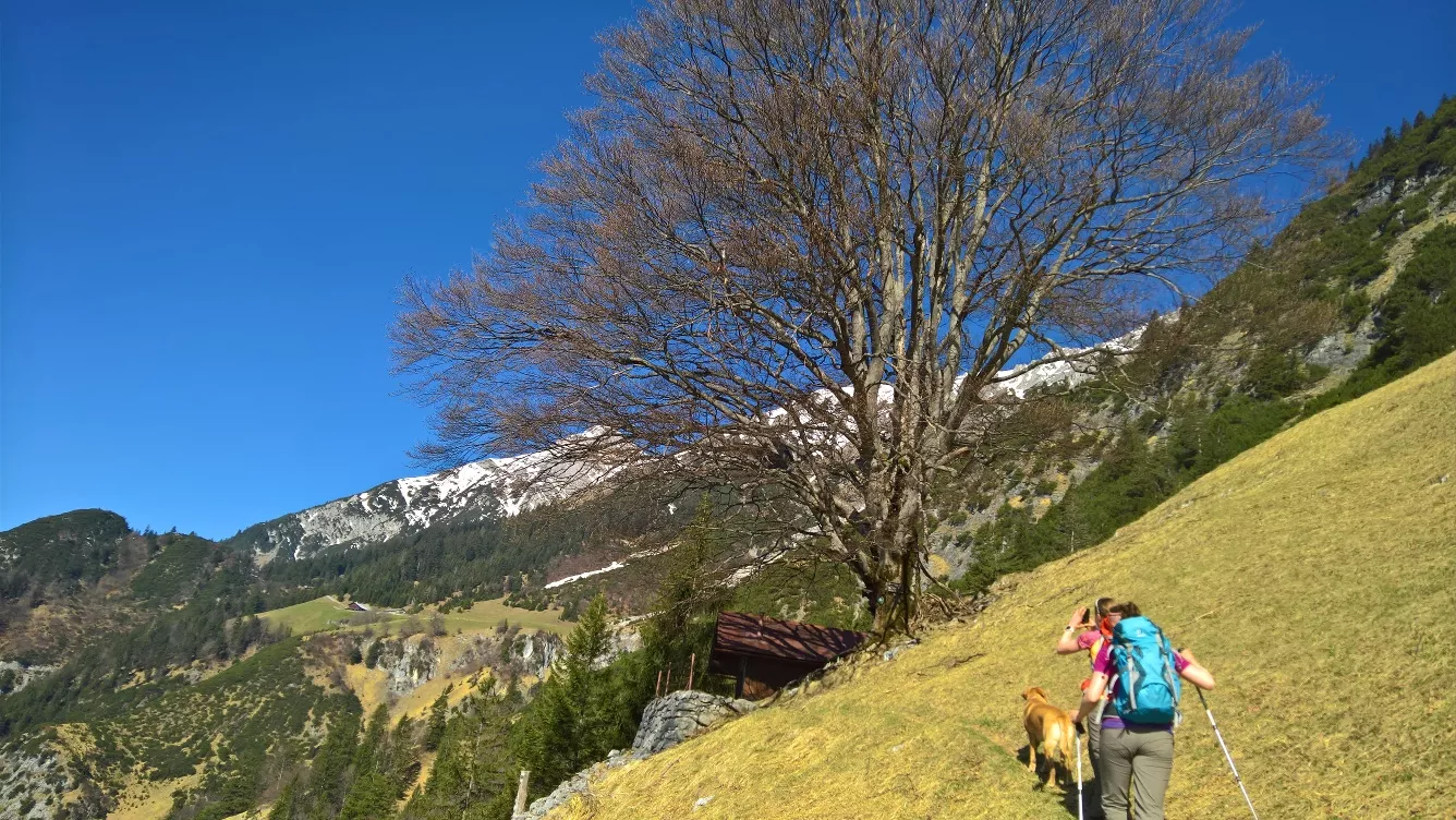 Egger Hütten Runde