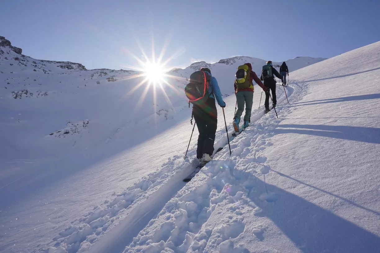 Skitour von der Lizumer Hütte auf den Geier