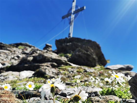 Grünbergspitze