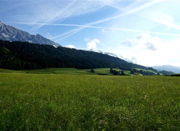 Haslachrunde