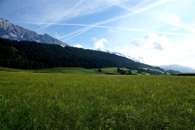 Haslachrunde