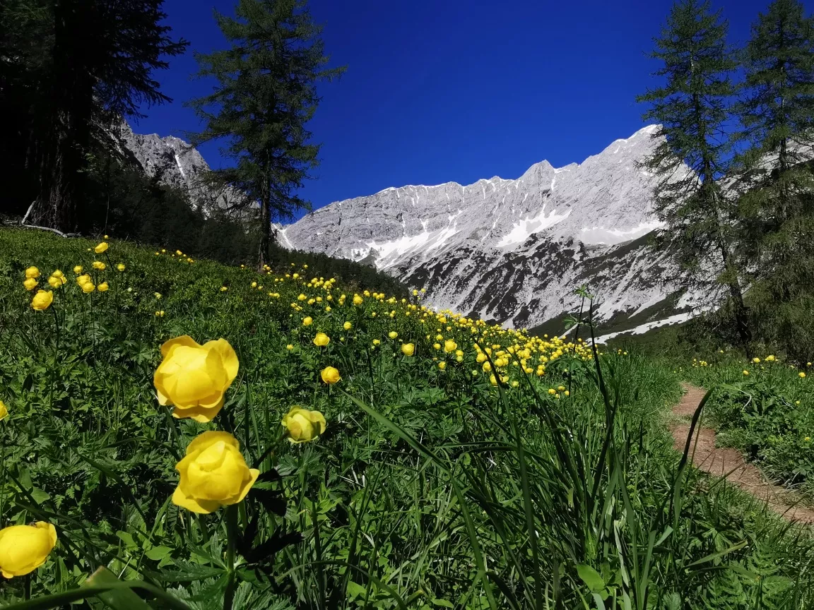 Durch das Halltal zum Kleinod Issanger