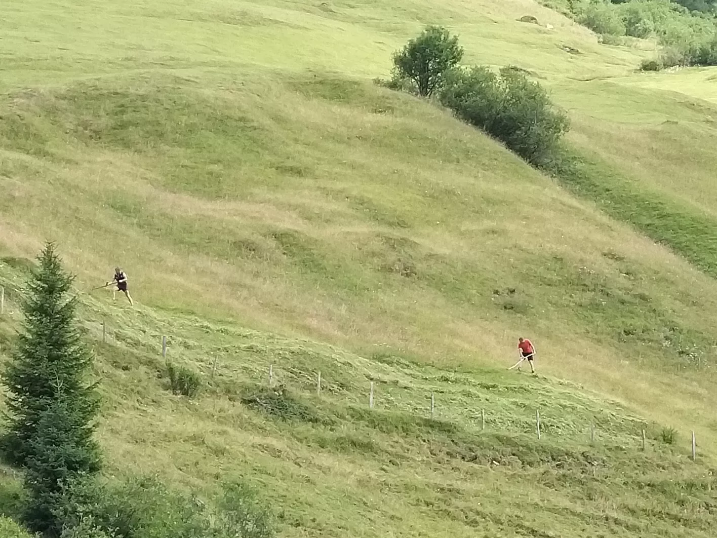 Senselerweg: Zehenter Alm über Naviser Kreuzjoch bis Toldern
