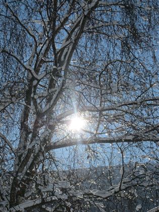 Maria Larch Runde im Winter