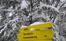 Rodeltour am Runstboden