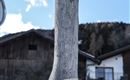 Beleuchtete Naturrodelbahn am Vögelsberg