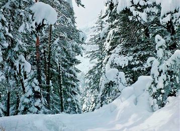 Schneeschuhwanderung von Wattens zum Gasthof Vögelsberg