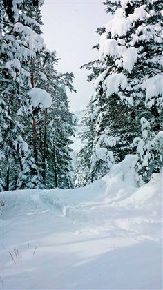 Schneeschuhwandern