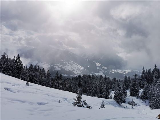 Schneeschuhwanderung zur Walderalm