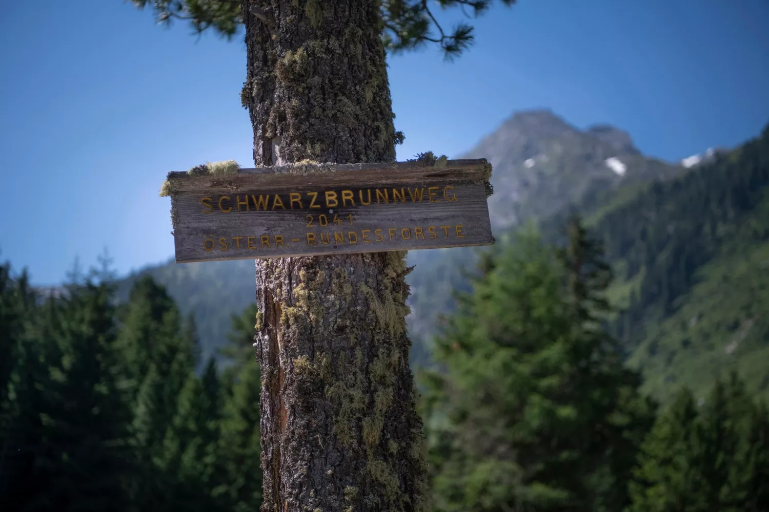 Schwarzbrunn im Voldertal