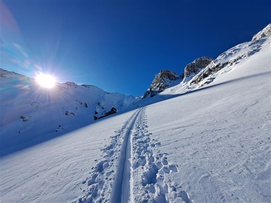 Skitour von der Lizumerhütte auf den Geier