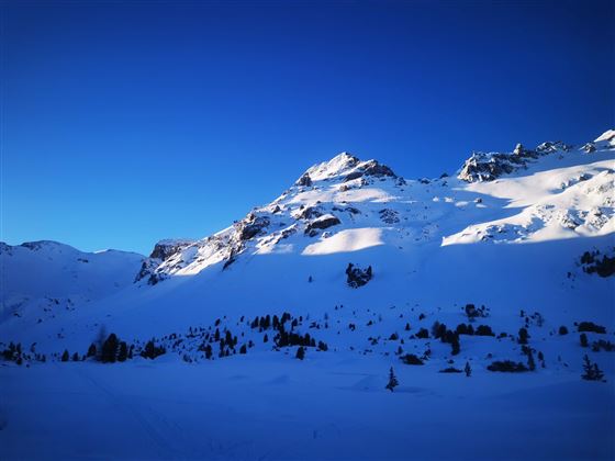 Skitour von der Lizumerhütte auf den Geier