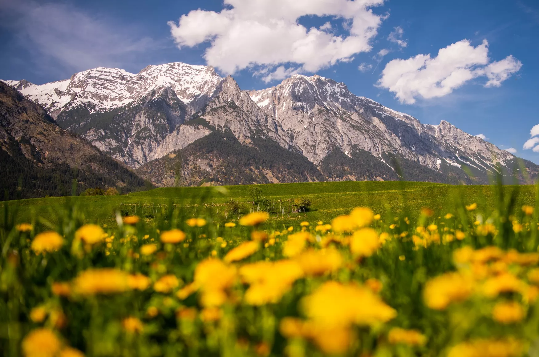 Speckbacherrunde mittelschwere Nordic Walking Runde in Tulfes, Tirol