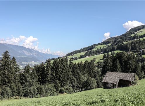 Wurzelschellweg