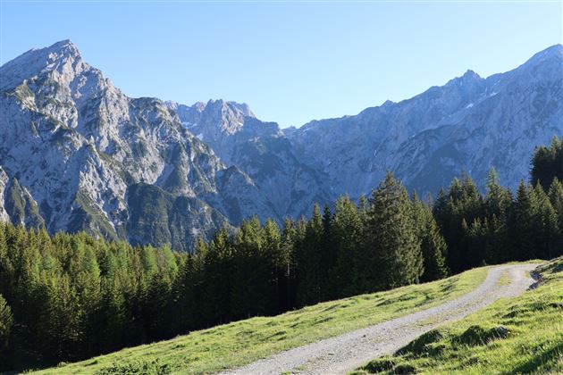 Über die Ganalm zur Walderalm