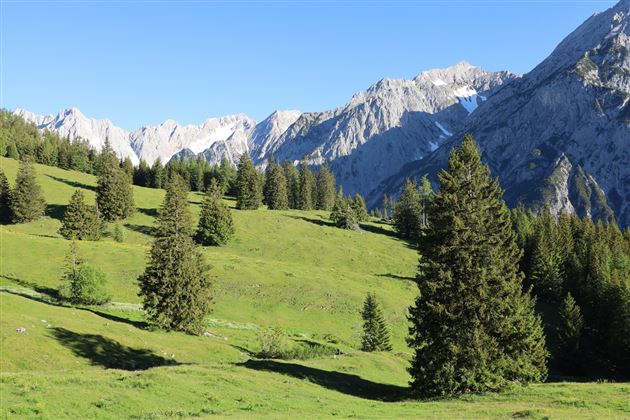 Über die Ganalm zur Walderalm