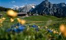 St. Michael - Walderalm
