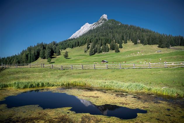 St. Michael - Walderalm