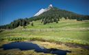 St. Michael - Walderalm