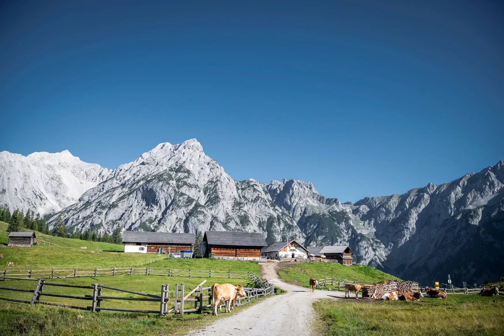 Von Gnadenwald/Kranzach zur Walderalm